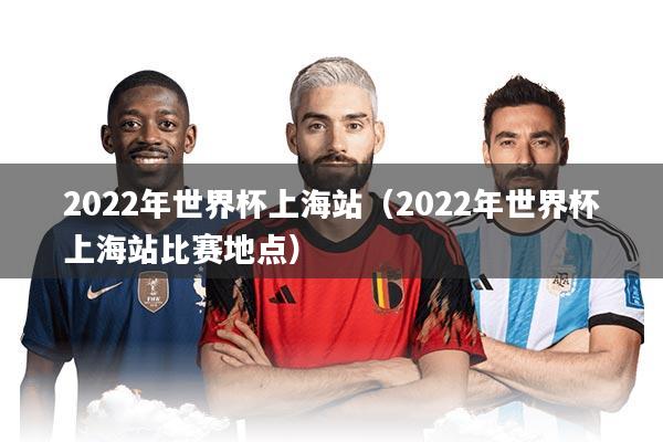 2022年世界杯上海站（2022年世界杯上海站比赛地点）